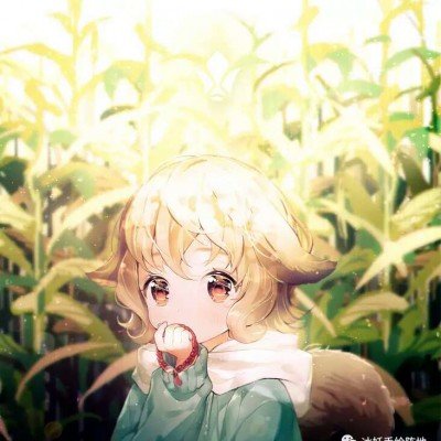 张颂文咖位